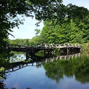 Meet your Posher, Lynn